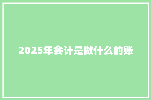 2025年会计是做什么的账
