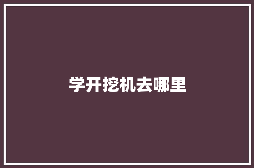 学开挖机去哪里 生活类