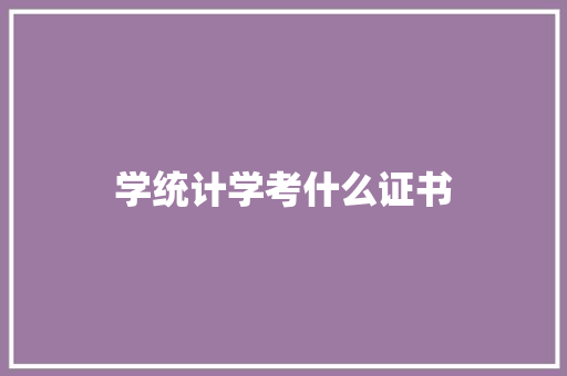学统计学考什么证书