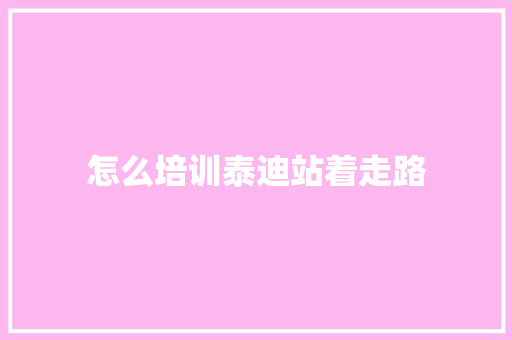 怎么培训泰迪站着走路