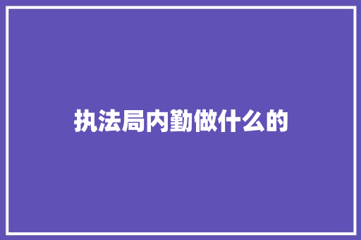 执法局内勤做什么的