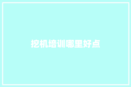 挖机培训哪里好点
