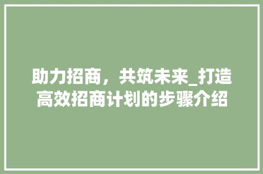 助力招商，共筑未来_打造高效招商计划的步骤介绍