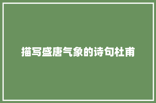描写盛唐气象的诗句杜甫 采访稿