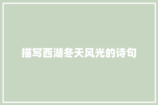描写西湖冬天风光的诗句