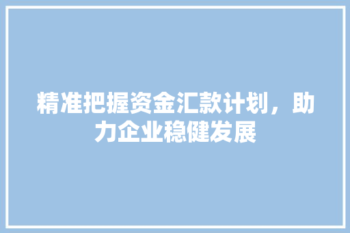 精准把握资金汇款计划，助力企业稳健发展