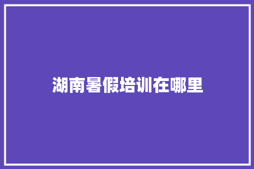 湖南暑假培训在哪里