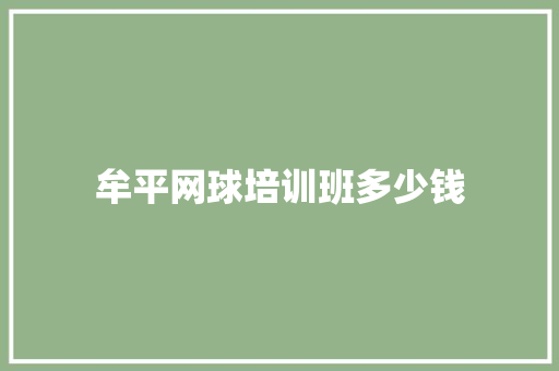 牟平网球培训班多少钱
