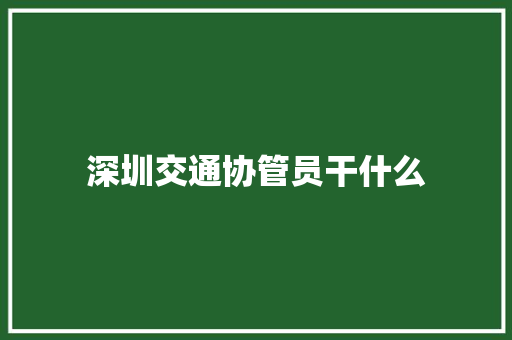 深圳交通协管员干什么