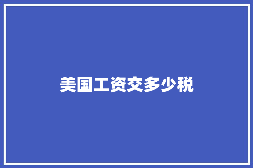 美国工资交多少税