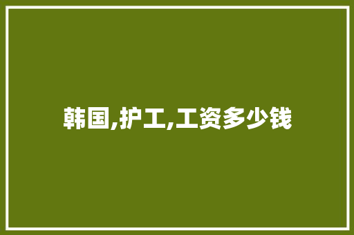 韩国,护工,工资多少钱