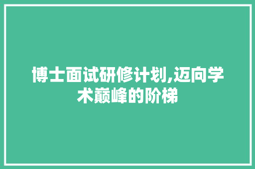博士面试研修计划,迈向学术巅峰的阶梯