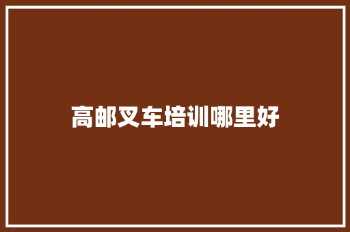 高邮叉车培训哪里好