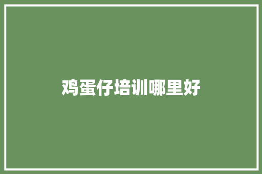 鸡蛋仔培训哪里好