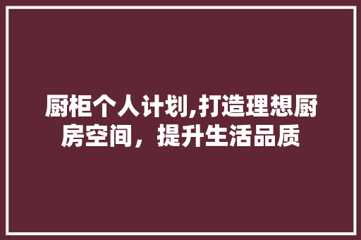 厨柜个人计划,打造理想厨房空间，提升生活品质