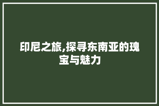 印尼之旅,探寻东南亚的瑰宝与魅力