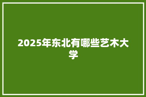 2025年东北有哪些艺木大学