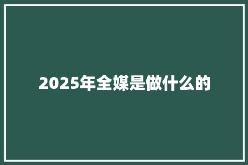 2025年全媒是做什么的