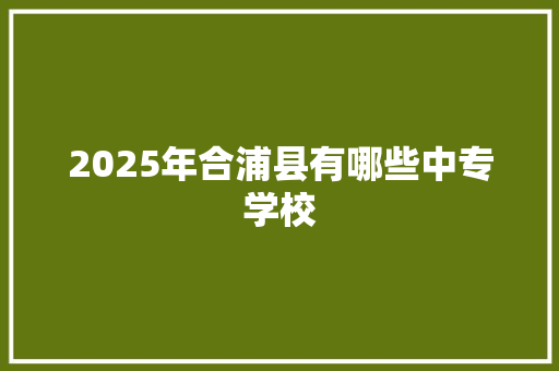 2025年合浦县有哪些中专学校
