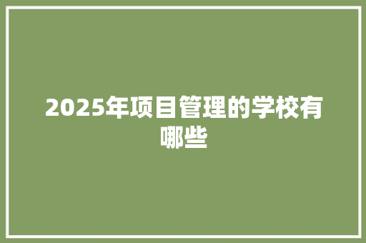 2025年项目管理的学校有哪些