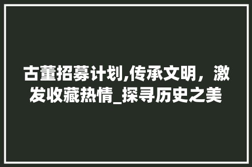 古董招募计划,传承文明，激发收藏热情_探寻历史之美的新篇章