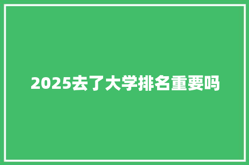 2025去了大学排名重要吗