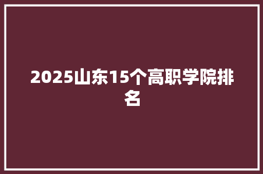2025山东15个高职学院排名