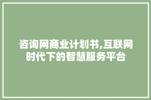 咨询网商业计划书,互联网时代下的智慧服务平台
