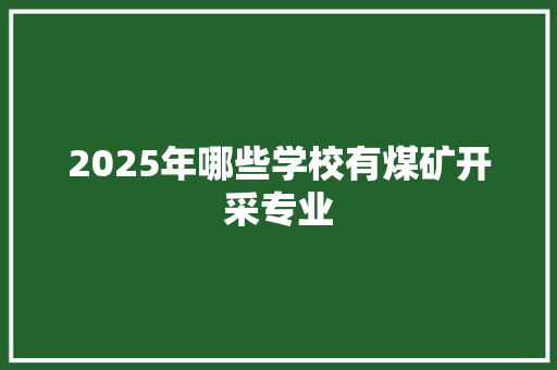 2025年哪些学校有煤矿开采专业