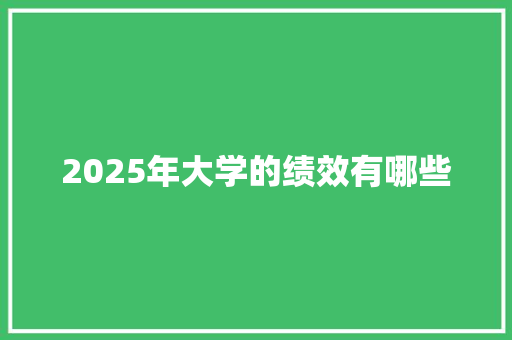 2025年大学的绩效有哪些