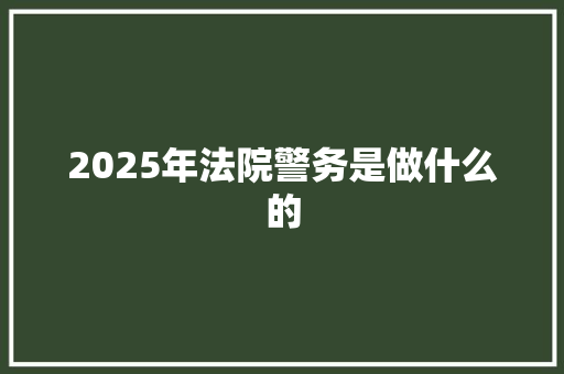 2025年法院警务是做什么的 工作总结
