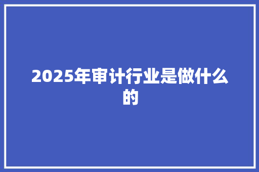 2025年审计行业是做什么的