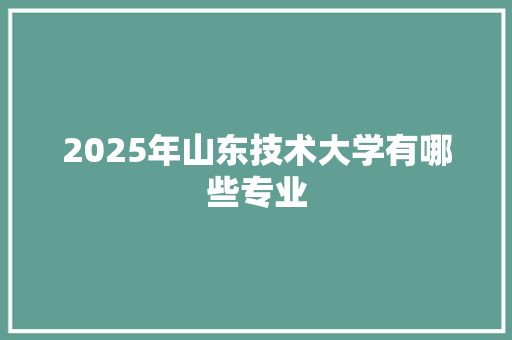 2025年山东技术大学有哪些专业
